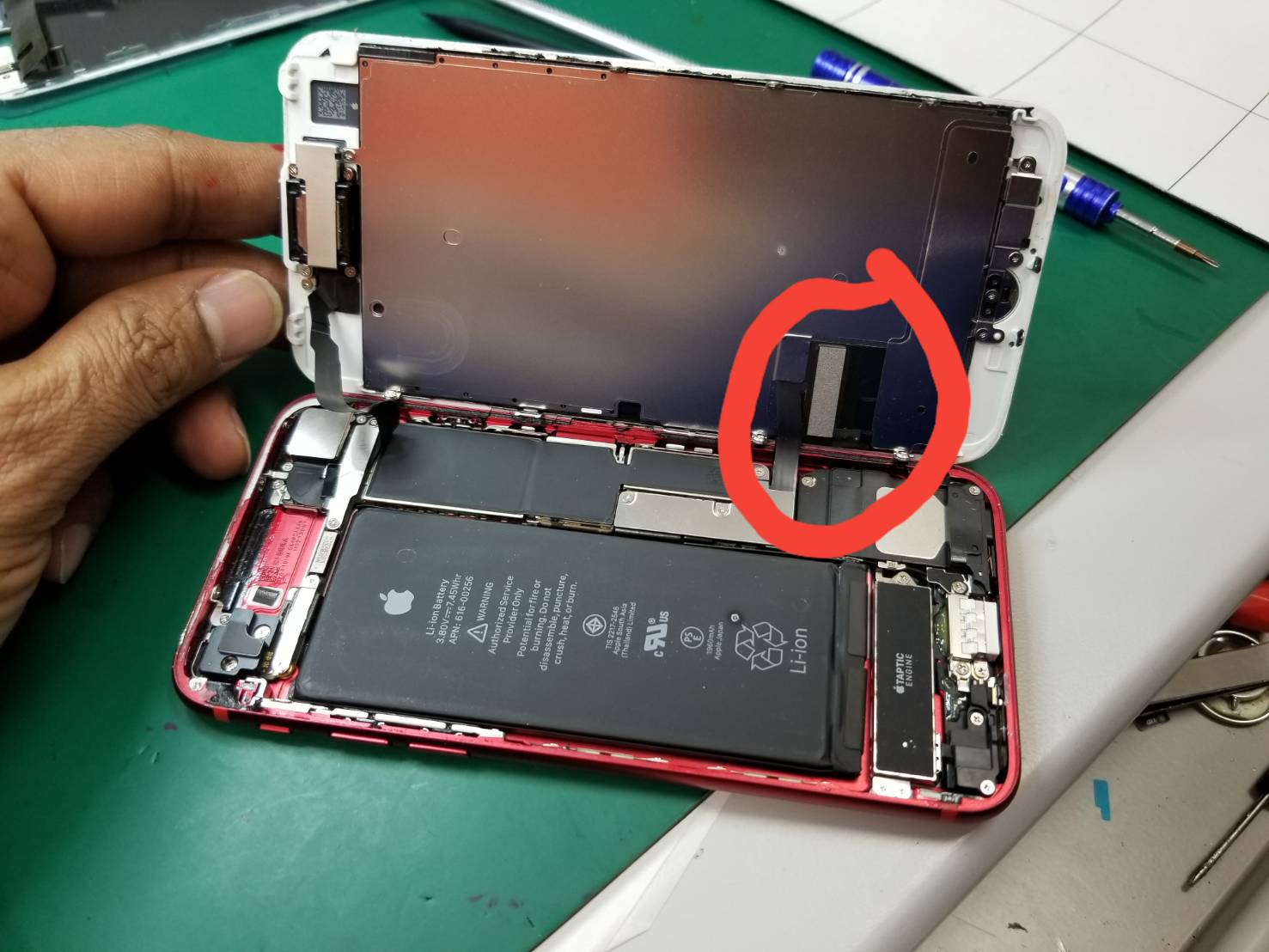 7のカメラ ガラス割れ修理でご来店