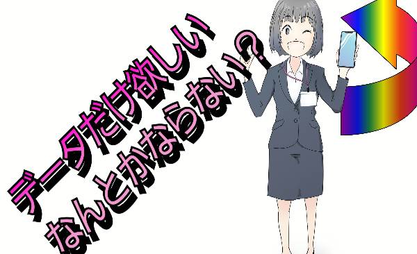 データだけ欲しい