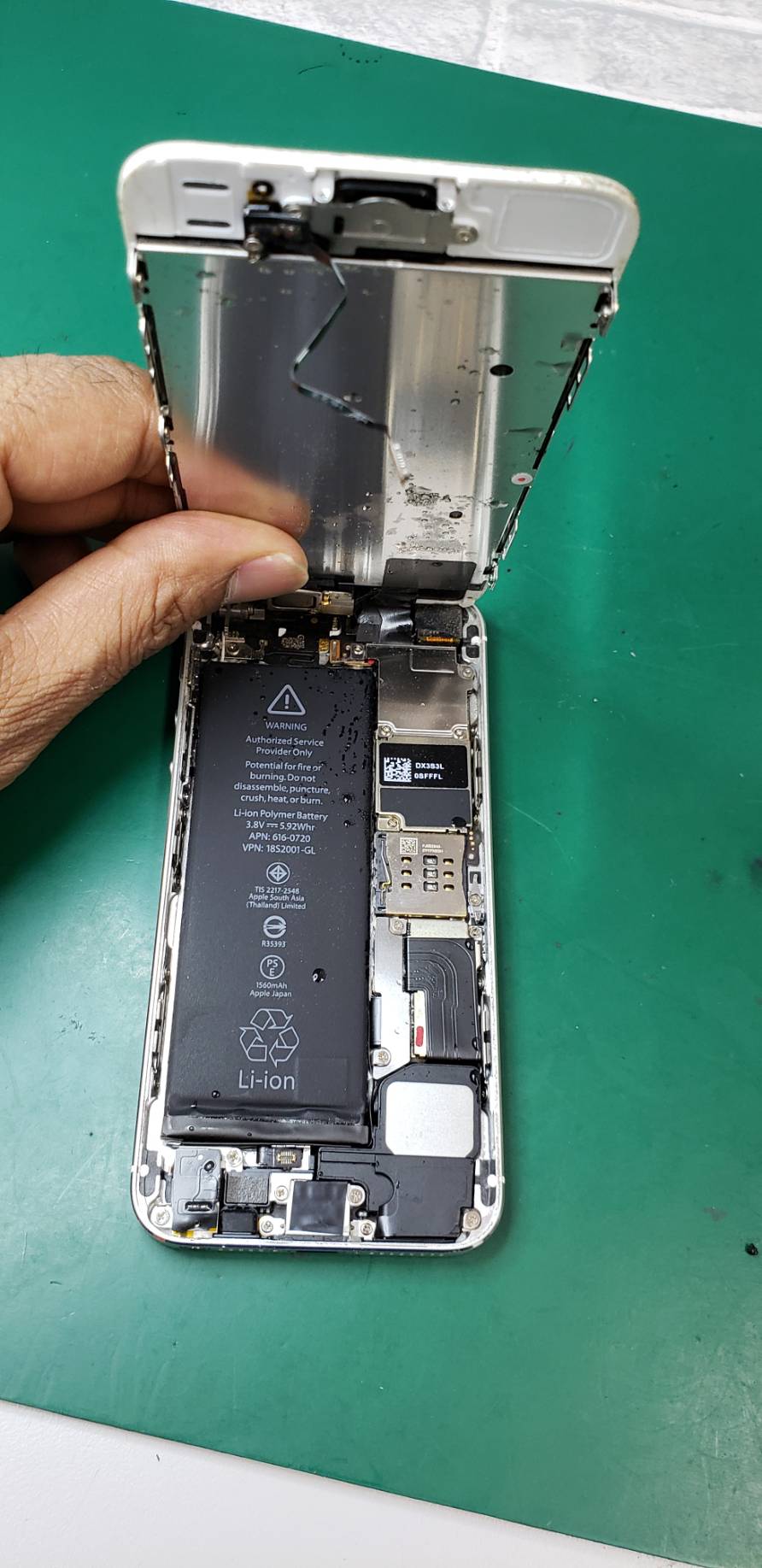  5s水没でご来店