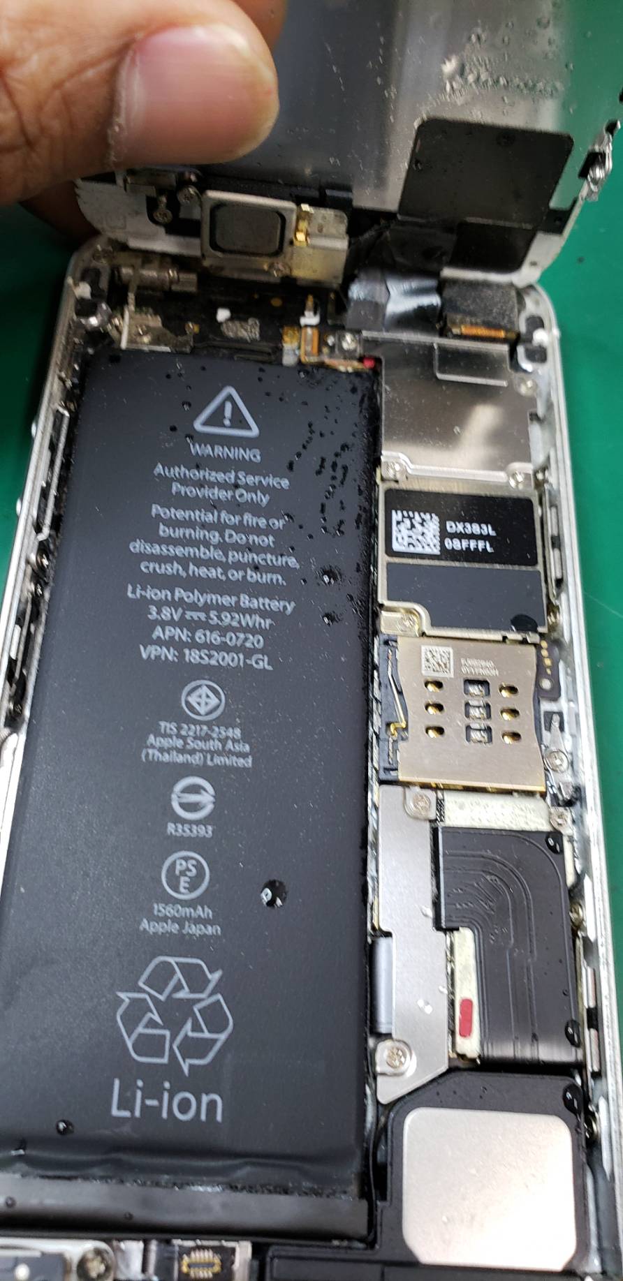  5s水没でご来店