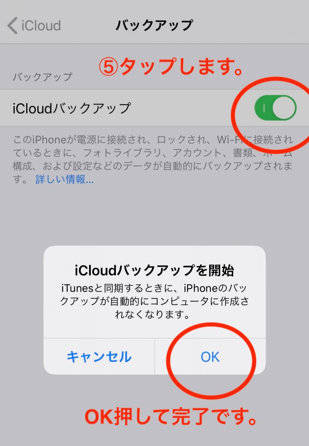 自動バック画像5