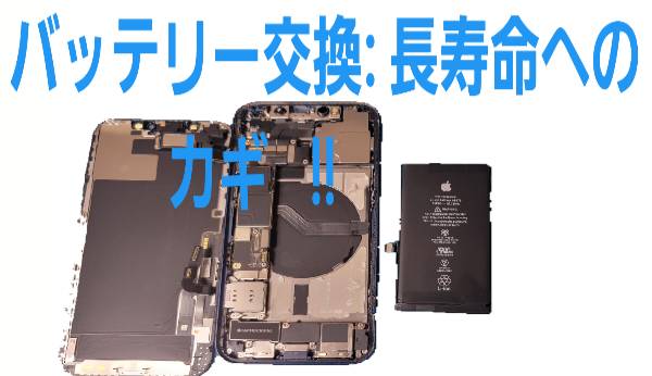 ●バッテリー交換: 長寿命へのカギについて